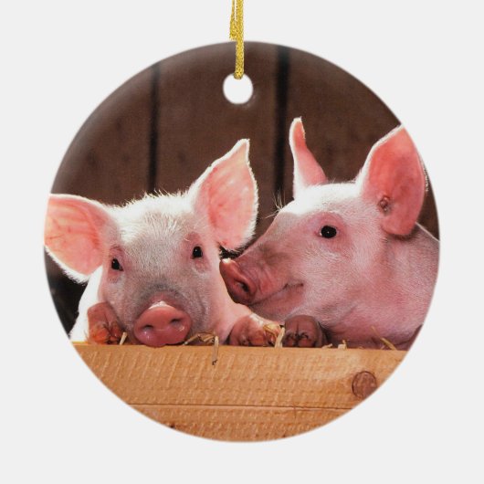 ピッグファームピグレット セラミックオーナメント (裏面)
