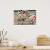 ピッグレーシングピンクピグレット第3位 ポスター (キッチン)