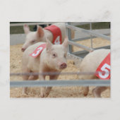 ピッグレーシングピンクピグレット第3位 ポストカード (正面)