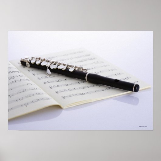 ピッコロ ポスター (正面)