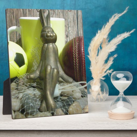 ピッチと折り目を越えて:サッカーのクリケットブレンド フォトプラーク (側面)