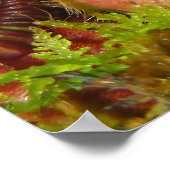 ピッチャー植物 ポスター (角)