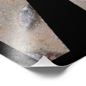 ピッツバーグスティールシティブリッジスカイラインペンシルバニア フォトプリント            (角)