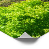 ピッツバーグペンシルバニアスチールシティスカイラインインクライン ポスター (角)