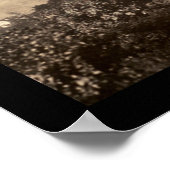 ピッツバーグ動物園PA写真1905 ポスター (角)