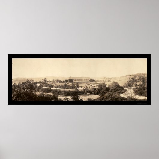 ピッツバーグ動物園PA写真1905 ポスター (正面)