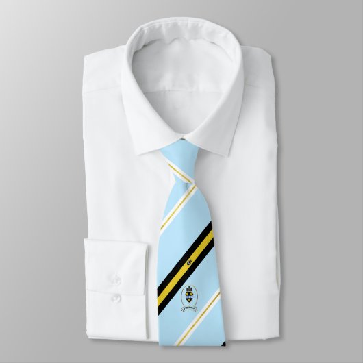 ピッツバーグ（ペンシルバニア州）国旗とコートのアームズネックタイ ネクタイ (タイ)