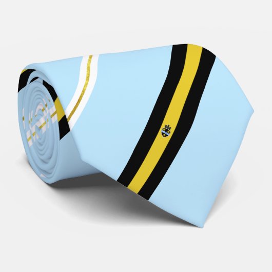 ピッツバーグ（ペンシルバニア州）国旗とコートのアームズネックタイ ネクタイ (ロール)