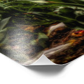 ピッツバ学ーグ大学の大聖堂 フォトプリント            (角)