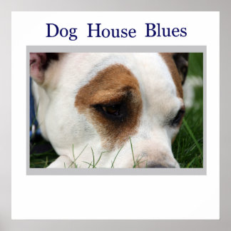 ピットピット1 ポスター