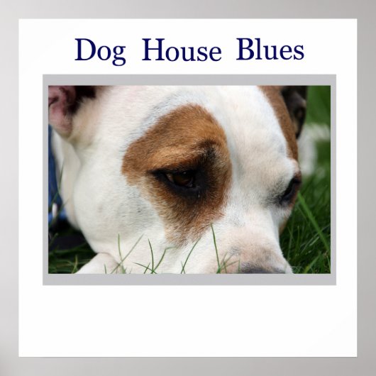 ピットピット1 ポスター (正面)