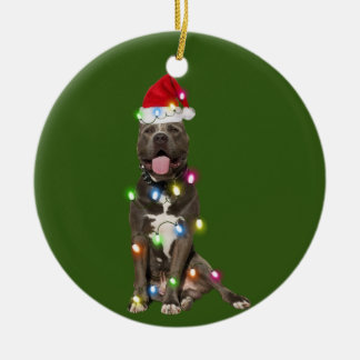 ピットブルとクリスマススキャフツサンタハット セラミックオーナメント
