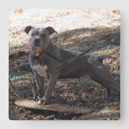 ピットブルとスケートボードの壁時計 スクエア壁時計