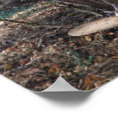 ピットブルとスケートボードスケーターのみポスター ポスター (角)