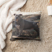 ピットブルとスケートボード枕 クッション (ブランケット)