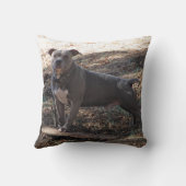 ピットブルとスケートボード枕 クッション (裏面)