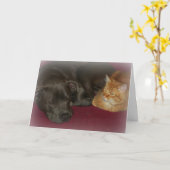 ピットブルとタブビーキャットフレンズフォーエバー カード (黄色い花)