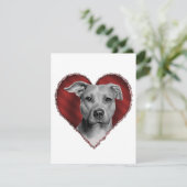 ピットブルとハート 招待状 (スタンド正面)