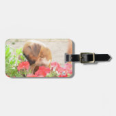 ピットブルのお母さん犬 ラゲッジタグ (正面横)