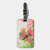 ピットブルのお母さん犬 ラゲッジタグ (正面縦)