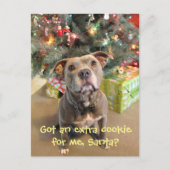 ピットブルの余分クッキーのクリスマスの郵便はがき シーズンポストカード (正面)
