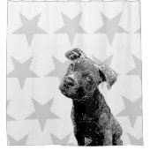 ピットブルの子犬および星のシャワー・カーテン シャワーカーテン (正面)