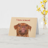 ピットブルの子犬の誕生日 カード (黄色い花)