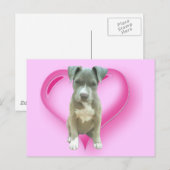 ピットブルの子犬はがき ポストカード (正面/裏面)
