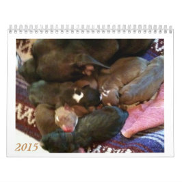 ピットブルの子犬はカレンダーを育ちます カレンダー