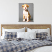 ピットブルの子犬 キャンバスプリント (インサイチュ (寝室))