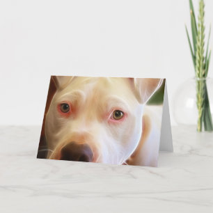 ピットブルの小犬は芸術の写真撮影を注目します カード