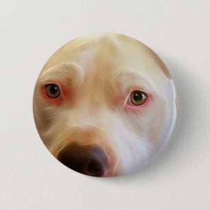 ピットブルの小犬は芸術の写真撮影を注目します 缶バッジ