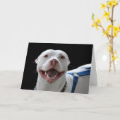 ピットブルの微笑みカード カード (黄色い花)