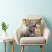 ピットブルの朝のあくびの枕 クッション (椅子)