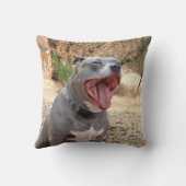 ピットブルの朝のあくびの枕 クッション (裏面)