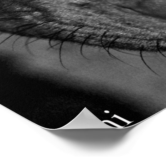 ピットブルの目。白黒と色 ポスター (角)