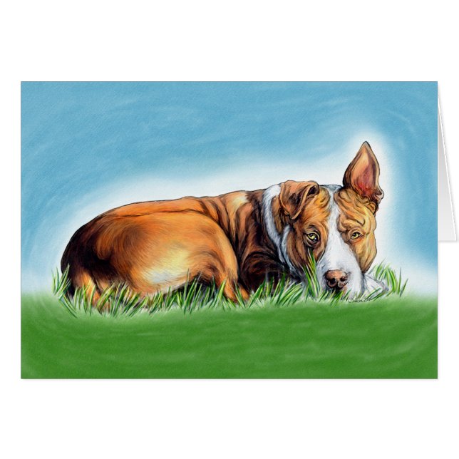 ピットブルはあなたを聞く (正面横)