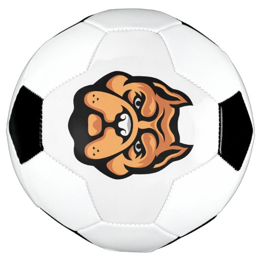 ピットブルはHUGSのために作られ、物事のためではない。 サッカーボール (回転)