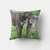 ピットブルアンドキャット クッション (裏面)