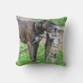 ピットブルアンドキャット クッション (正面)