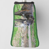 ピットブルアンドキャット ゴルフヘッドカバー (回転90)