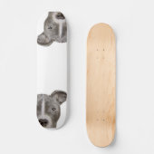 ピットブルイラストレーションスケートボードバイミアート スケートボード (正面)