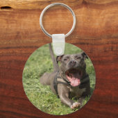 ピットブルイン・グラス キーホルダー (正面)