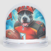 ピットブルサッカー (正面)