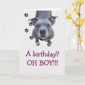 ピットブルテーブルスクラップ誕生日カード カード (黄色い花)