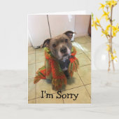 ピットブルドグハウス私は申し訳ないカード カード (黄色い花)
