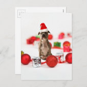 ピットブルドッグとギフトボックスとクリスマスオーナメント シーズンポストカード (正面/裏面)