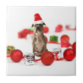 ピットブルドッグとギフトボックスとクリスマスオーナメント タイル (正面)