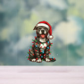 ピットブルドッグクリスマスライトサンタハットクリスマス雪 アクリルサイン (ニュートラル)