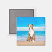 ピットブルドッグサイティングビーチ マグネット (正面/裏面)